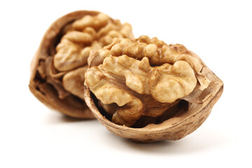 walnuts on a white background