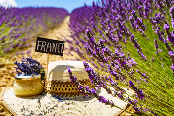 Jar with honey at lavender field. Holidays in France.