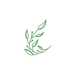 feminine flower minimalist icon logo vector image