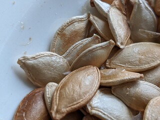 Pumpkin seeds. Ready for consumption. Garden vegetables. Growing at home