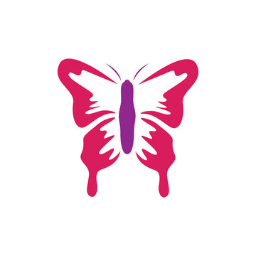 butterfly logo design vector image