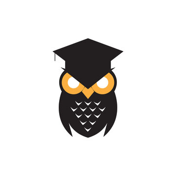 cute owl logo design vector image
