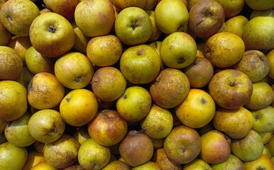a collection of green apples in a basket