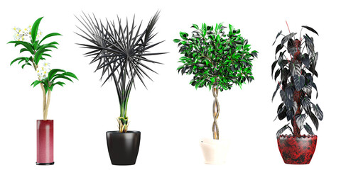 3d illustration of a collection of Weeping fig,Bismarck palm,frangipani plants in pots, perfect for digital composition and architecture visualization