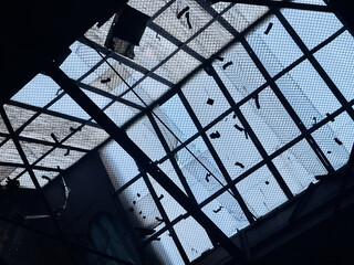 Abandoned industrial setting with a dilapidated skylight against a dusky sky.