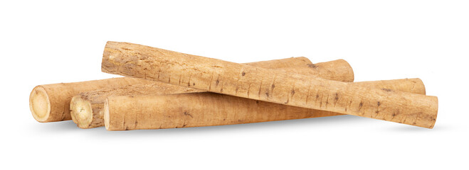 burdock roots or kobo isolated on transparent png