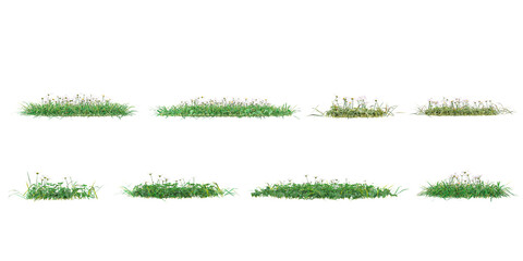 Grass isolated on white background, vector illustration