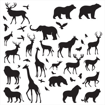 Shadows of the Untamed: Comprehensive Collection Featuring Wild Animals in Striking Silhouette - Wildlife Silhouette - Animals Vector
