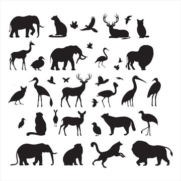 Nature's Symphony: Set of Wild Animals Silhouette Illustrating the Beauty of the Wild - Wildlife Silhouette - Animals Vector
