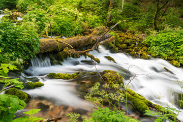 Small river's shot in a summer time, taken with long exposure