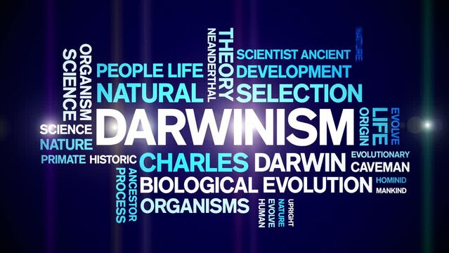 Darwinism animated tag word cloud;text design animation kinetic typography seamless loop.