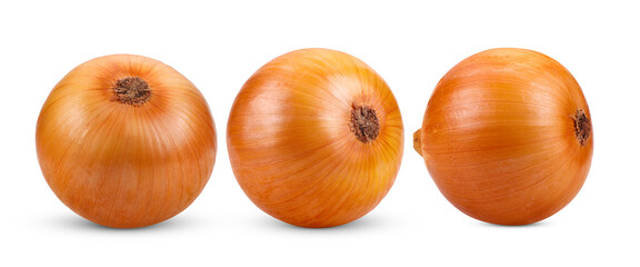 Onion bulbs isolated on transparent png