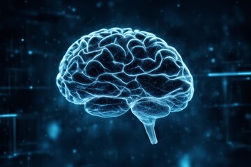 human brain scan