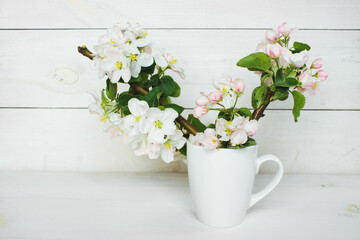 A beautiful sprig of an apple tree with white flowers in a cap against a white wooden background....
