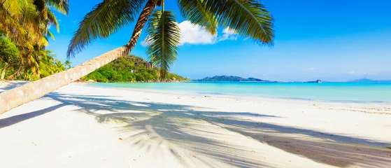 Gordijnen Vacation summer holidays background wallpaper - sunny tropical Caribbean paradise beach with white sand in Seychelles Praslin island Thailand style with palms © Vasily Makarov