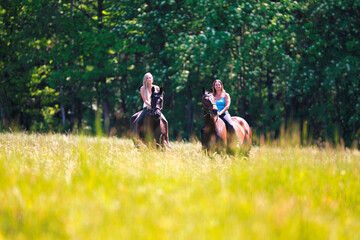 Fototapeta premium Woman women with horse riding horses on a summer meadow without a saddle.