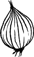 Red Onion Hand Drawn Illustration