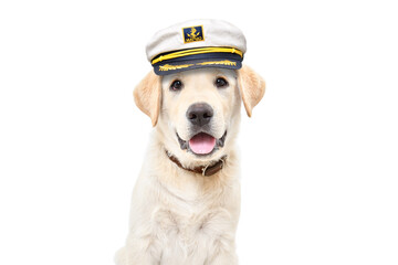 Portrait of a funny labrador puppy wearing a captain's cap isolated on a white background