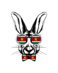 Easter bunny hand drawn portrait. Patriotic sublimation in colors of national flag on white background. Suriname