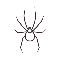 spider icon logo design vector