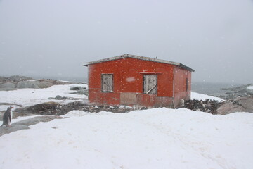 Groussac Naval Refuge hut on Petermann Island, Antarctica.