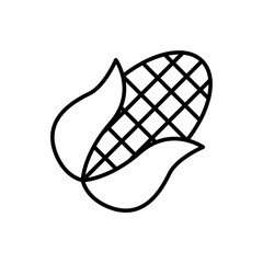 Corn outline icons, minimalist vector illustration ,simple transparent graphic element .Isolated on white background