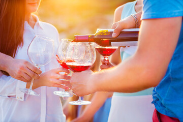 Group of happy friends having red wine on the beach