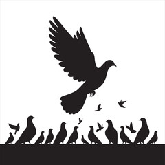 Dynamic Plumage: Bird Beauty Silhouette Set Celebrating the Diverse Feathers of Pigeons - Pigeon Silhouette
