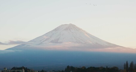 Obraz premium Mount, fuji and volcano or Tokyo or Japanese nature explore or travel adventure in history, culture or journey. Hill, outdoor and skyline or environment location or destination, sightseeing or forest