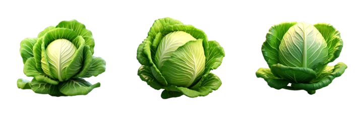 Fotobehang green cabbage vegetable isolated soft smooth lighting © hamzagraphic01
