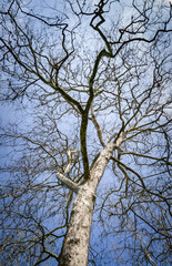 Drake Well Museum and Parkin the scenic Oil Creek Valley, USA