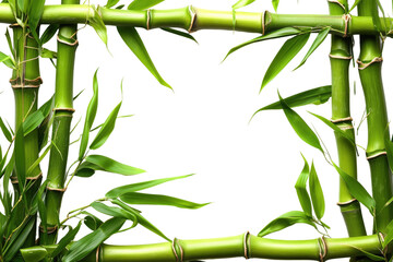 Fototapeta na wymiar Bamboo Texture Frame Isolated on Transparent Background