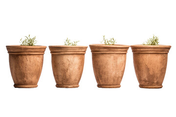 Pot Designs for Plants