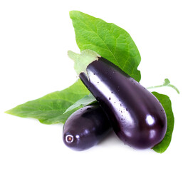 Eggplants isolated on white background