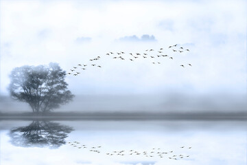 A mystical, quiet and serene landscape. An aesthetic foggy nature photograph. 