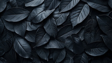 Textures of abstract black leaves for tropical leaf background. Flat lay, dark nature concept, tropical leaf,generative ai - obrazy, fototapety, plakaty