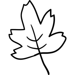 boho leaf doodle elements