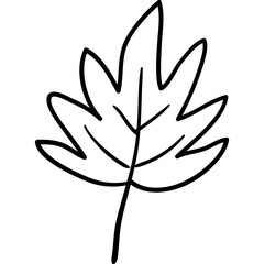 boho leaf doodle elements