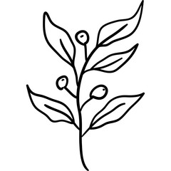 boho leaf doodle elements