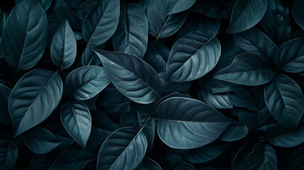 Textures of abstract black leaves for tropical leaf background. Flat lay, dark nature concept, tropical leaf,generative ai