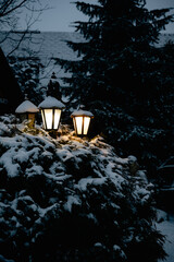 Winter evening. Street lamp in the snow near the Christmas tree. Snow at night. light from a lantern
