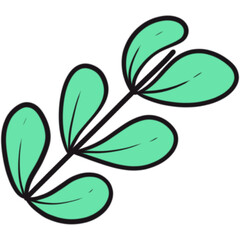 The illustration of a green leaf