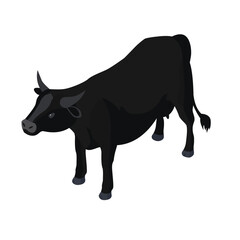 isometric 3d vector illustration of Black cow. Isometric animal cow,. Isolated on white background.