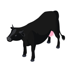 isometric 3d vector illustration of Black cow. Isometric animal cow,. Isolated on white background.