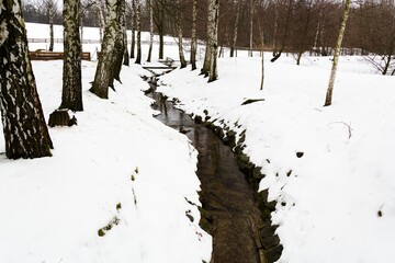 Stream with avenue of birch trees in winter. Eastern Moravia. Czech Republic.