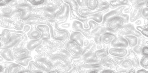 Topographic map background geographic line map with elevation assignments. Modern design with White background with topographic wavy patter