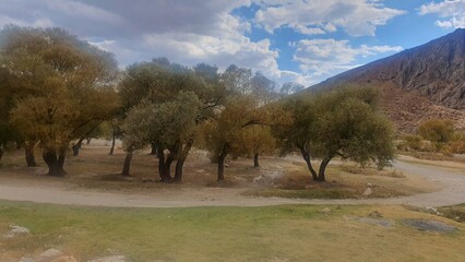 Photos of the nature of Urmia, Iran ✅