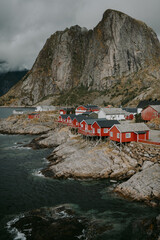 View of iconic red cabin in Lofoten islands in summer, moody foggy weather, wild flowers on foreground