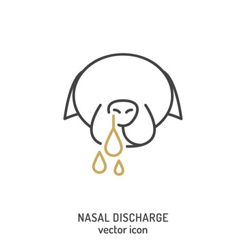 Nasal discharge from dogs nose. Common dog disease symbol.