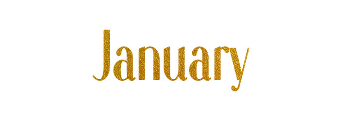 JANUARY PNG with metallic gold color on transparent background